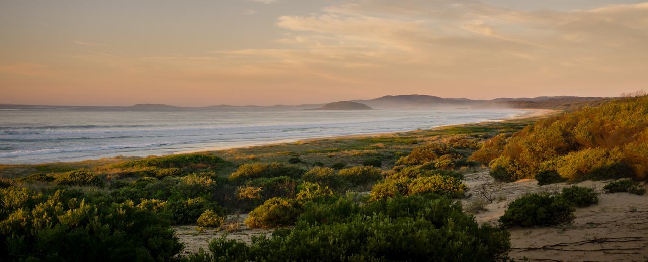 Wairo Beach Holiday Park Tabourie Lake Εξωτερικό φωτογραφία